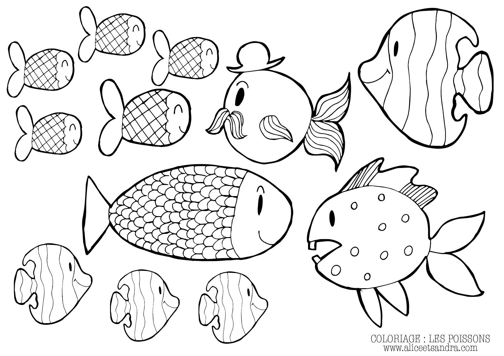poissons.jpg Thumbnail